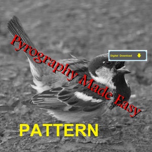 House Sparrow Pyrography Pattern Wood burning pattern digital download Tutorial available image 4