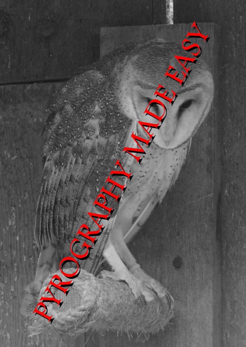 Reverence Reverence
