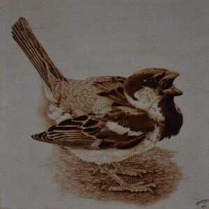 House Sparrow Pyrography Pattern Wood burning pattern digital download Tutorial available image 5