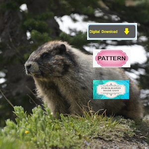 Hoary Marmot Pyrography Pattern: Wood Burning Art (Digital Download)