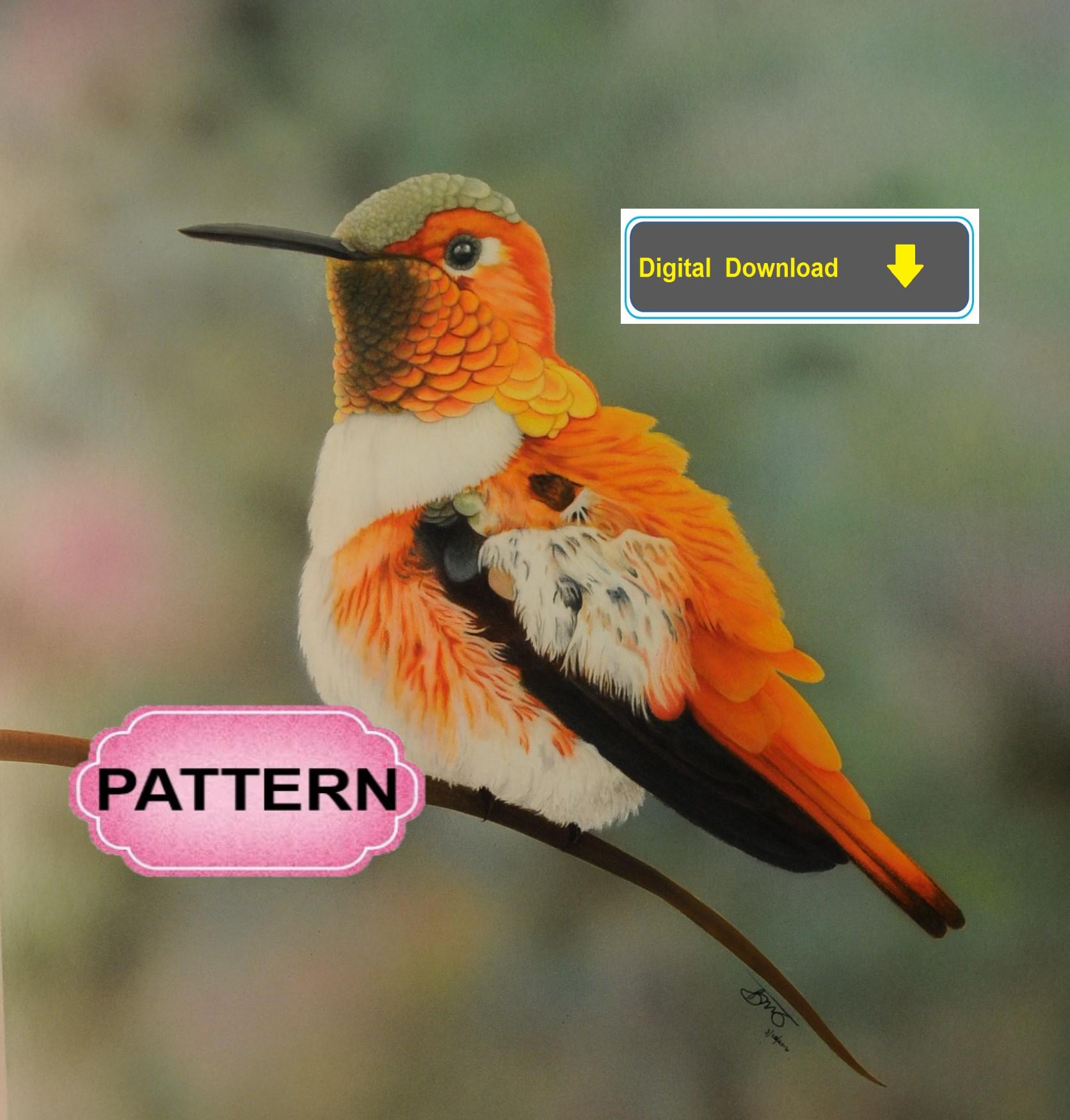 Rufus Hummingbird Pyrography Pattern Wood Burning Pattern Digital ...