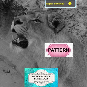 Lioness Pyrography Pattern: Tutorial available - wood burning pattern art (digital download) image 5