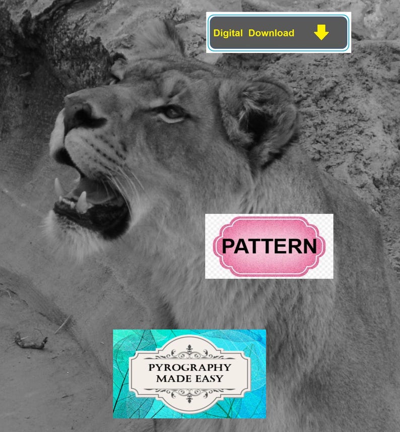 Lioness Pyrography Pattern: Tutorial available - wood burning pattern art (digital download) image 5