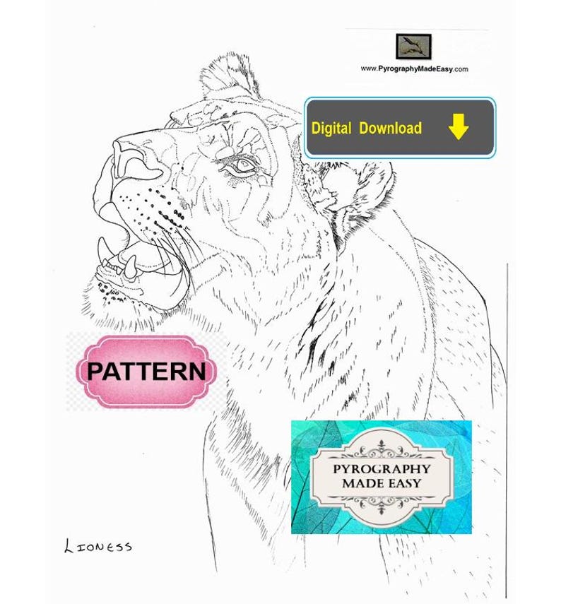Lioness Pyrography Pattern: Tutorial available - wood burning pattern art (digital download) image 2