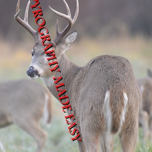 White Tailed Deer Pyrographie-Muster Holzbrennmuster digitaler Download