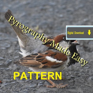 House Sparrow Pyrography Pattern Wood burning pattern digital download Tutorial available image 3