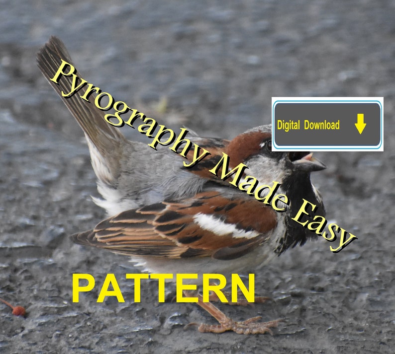 House Sparrow Pyrography Pattern Wood burning pattern digital download Tutorial available image 3