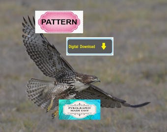 Patrón de pirograbado de halcón volador: patrón de arte pirograbado (descarga digital)