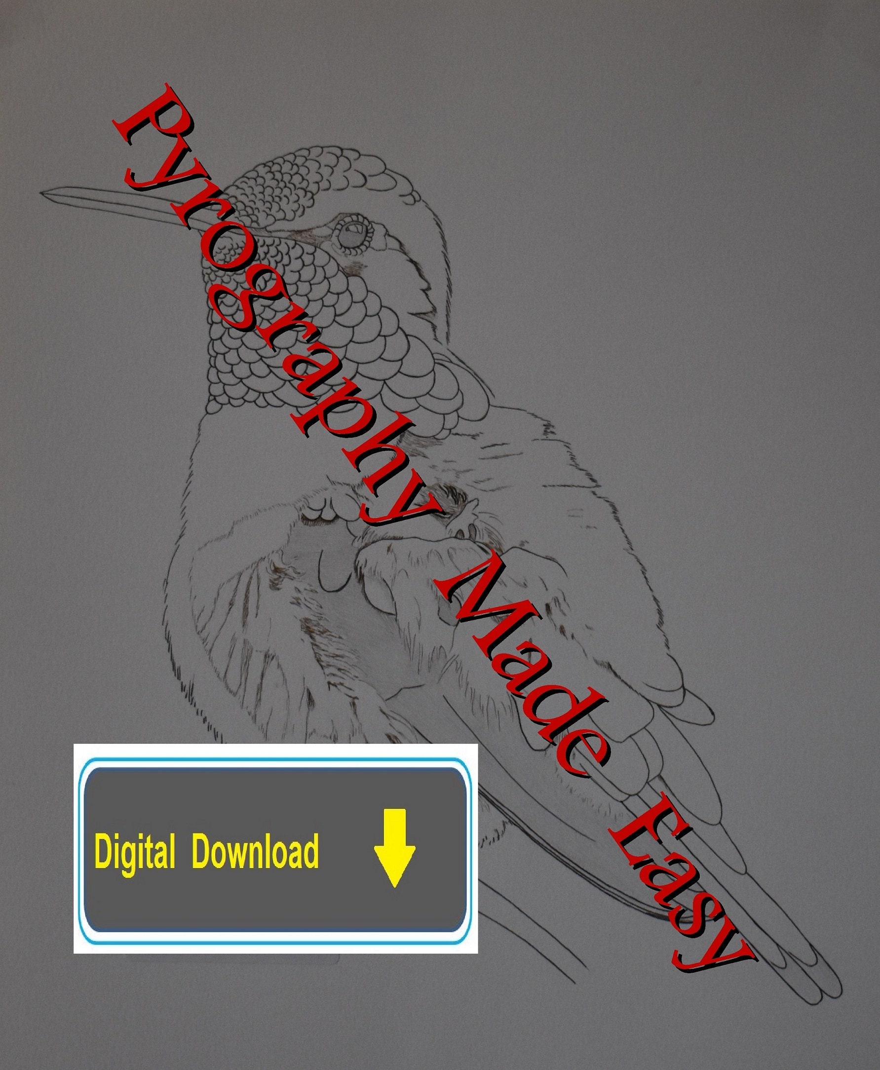 Rufus Hummingbird Pyrography Pattern Wood Burning Pattern Digital ...