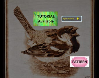 スズメの焼き絵パターン：チュートリアルあり - ウッドバーニングアートパターン（デジタルダウンロード）