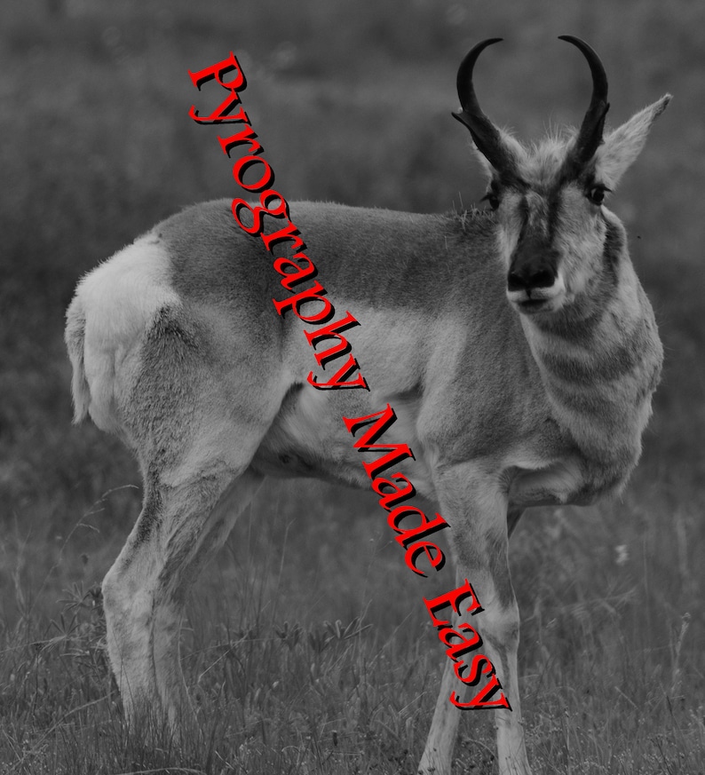 Pronghorn Antelope Pyrography Pattern Wood burning pattern digital download