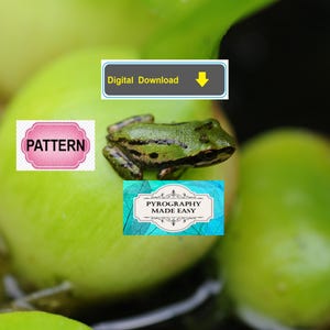 Modello per pirografia di una rana: modello per la pirografia su legno (download digitale)