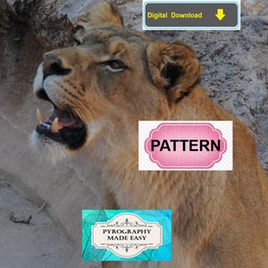 Lioness Pyrography Pattern: Tutorial available - wood burning pattern art (digital download) image 4