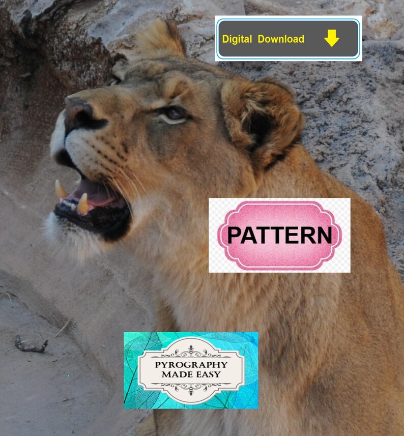Lioness Pyrography Pattern: Tutorial available - wood burning pattern art (digital download) image 4