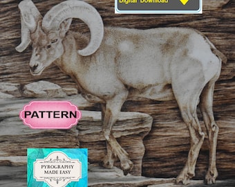 Bighorn Sheep Pyrography Pattern: wood burning art pattern  (digital download)