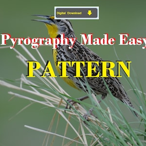 Western Meadowlark bird Pyrography Pattern Wood burning pattern digital download