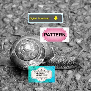 Puede incluir: Imagen en blanco y negro de un caracol arrastr&aacute;ndose sobre una superficie texturizada. El caracol tiene una concha en espiral. La imagen incluye el texto "Digital Download", "Pattern" y "Pyrography Made Easy".
