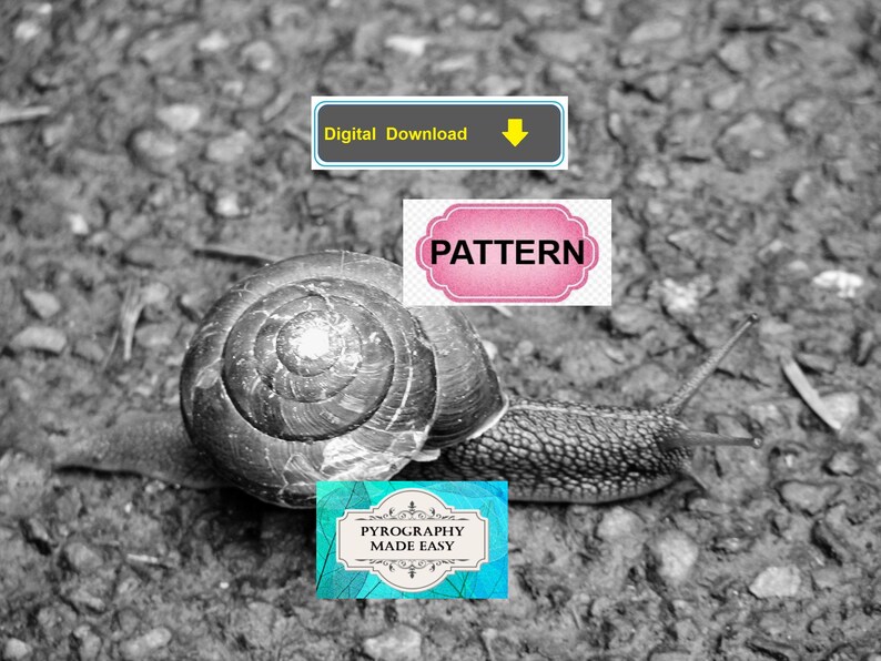 Puede incluir: Imagen en blanco y negro de un caracol arrastr&aacute;ndose sobre una superficie texturizada. El caracol tiene una concha en espiral. La imagen incluye el texto "Digital Download", "Pattern" y "Pyrography Made Easy".