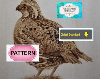 Northern Bobwhite bird Pyrography Pattern: wood burning art pattern (digital download)
