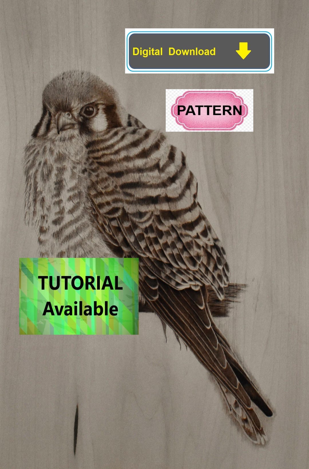 Killer Pyrography Pattern Kestrel Perched Pyrography Pattern: Tutorial Available - Wood Burning ...