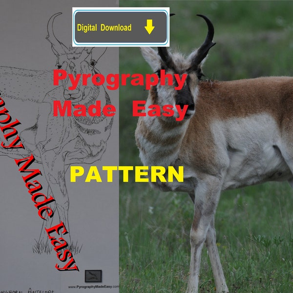 Pronghorn Antelope Pyrography Pattern Wood burning pattern digital download