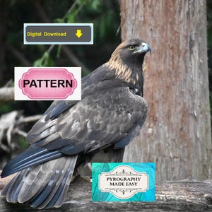 Golden Eagle perched Pyrography Pattern: wood burning art pattern (digital download)
