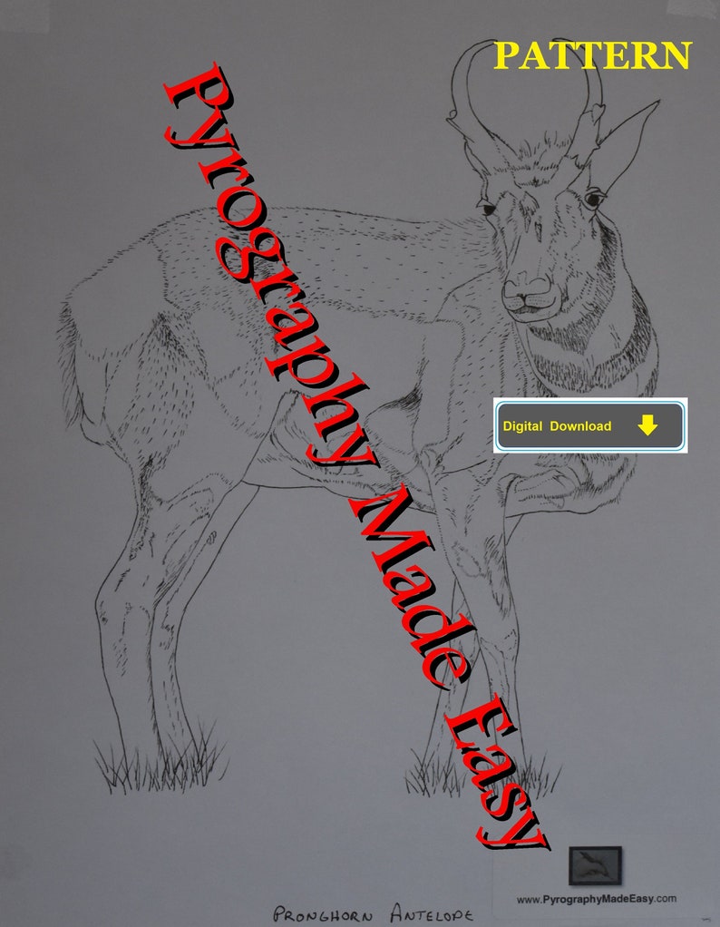 Pronghorn Antelope Pyrography Pattern Wood burning pattern digital download
