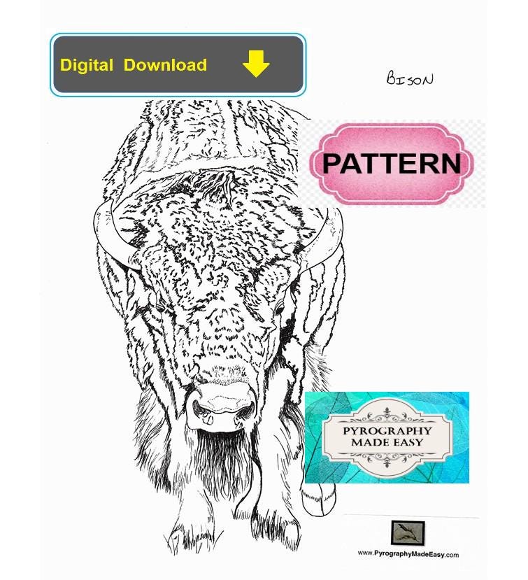 Bison Front Facing Pyrography Pattern: Wood Burning Pattern (digital ...