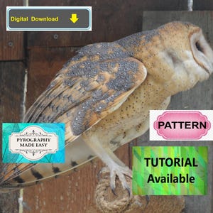 Barn Owl side view Pyrography Pattern: wood burning art pattern (digital download)