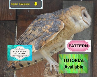 Barn Owl side view Pyrography Pattern: wood burning art pattern (digital download)