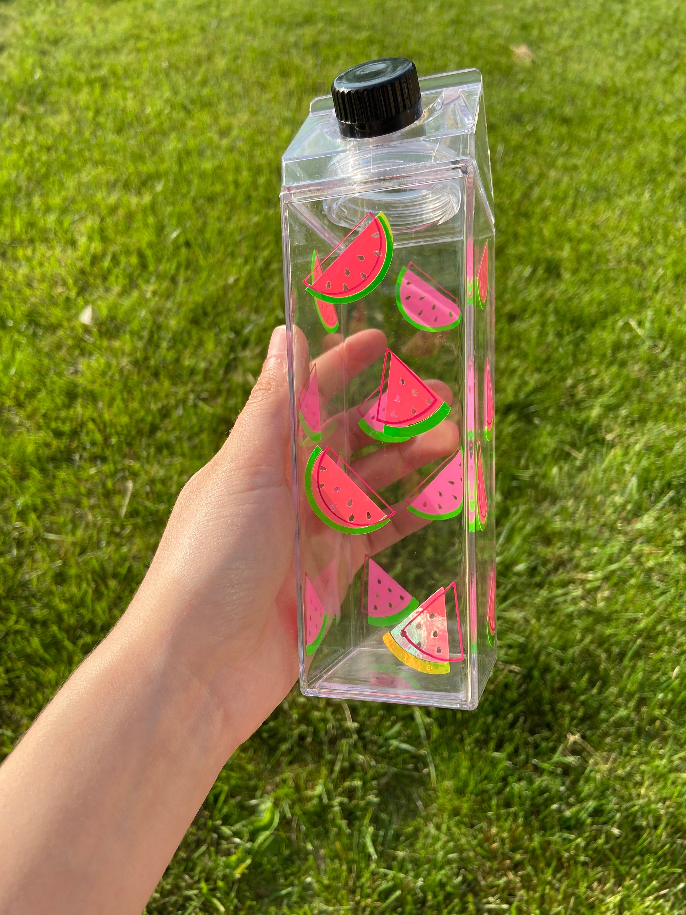 Botella de agua de cartón de leche de sandía hecha a mano
