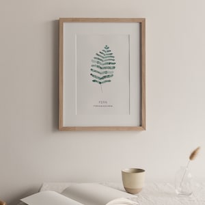 Aquarell Farn Poster, Pflanzen Illustration, Pflanzen Serie, Botanischer Druck, Minimal Print, Farn Print, Skandinavische Kunst, Urban Jungle Decor
