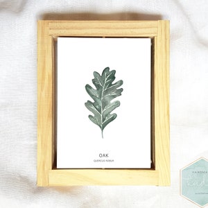 Oak Tree Print, Minimalist Fall Art, Oak Leaf Print, Oak Watercolor Printable, Leaves, Urban Jungel, Crazy Plant Lady, Minimal Art Printable