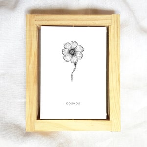 Cosmos Flower, Cosmos Flower Print, Plant Lady Gift, Hand Art Printable, Nursery Minimal Art, Fineliner, Fineliner Art, Urban Jungle