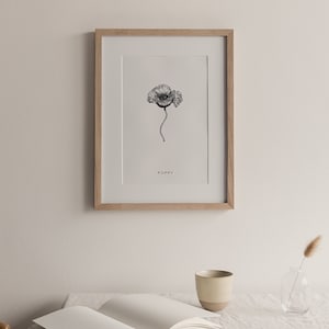 Impressão rosa, desenho botânico, impressão de planta, pôster botânico, pôster floral, papoula, ilustração floral, pintura, decoração, cartão