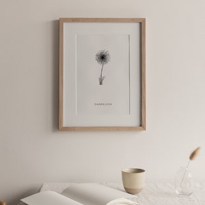 desenho botânico, estampas botânicas, presente, pôster botânico, pôster floral, decoração de casa, dente de leão, presente econômico, decoração de parede