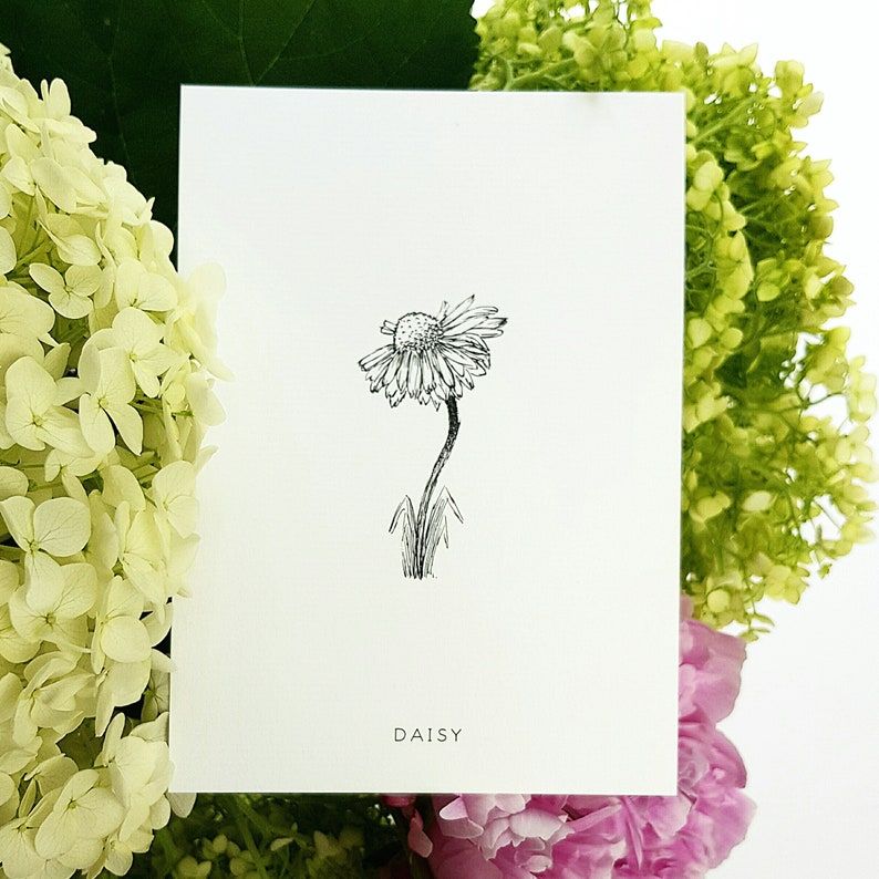 Daisy Flower Print Daisy Wall Art Plant Lady Gift Hand Art Etsy