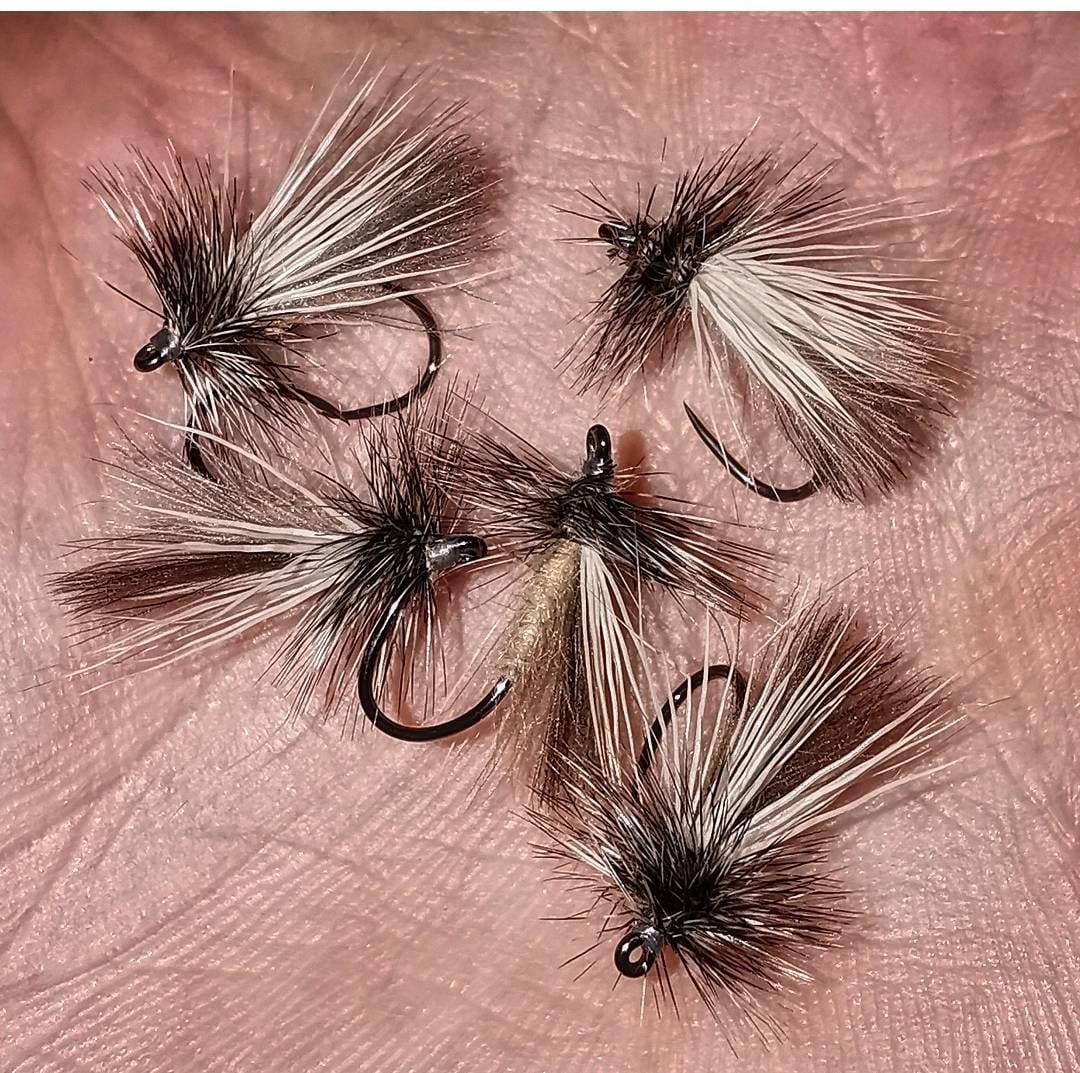 BARBLESS Sedge Trout Flies, 6 Per Pack - Black Horned Sedge, Size 10 Fly Fishing | UK