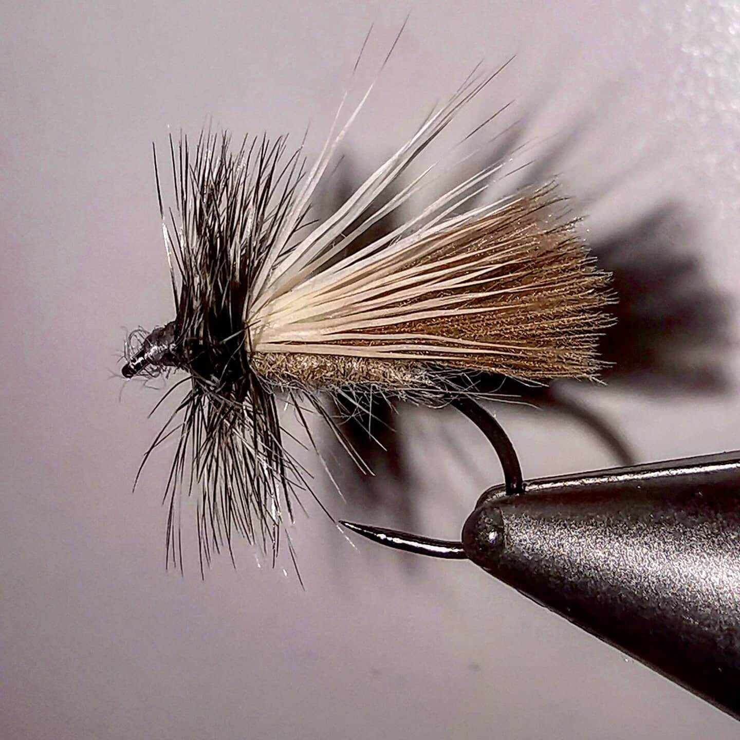 8 Esche Secche Black Horned Sedge Per Trota – Taglia 10 – Prodotte In UK