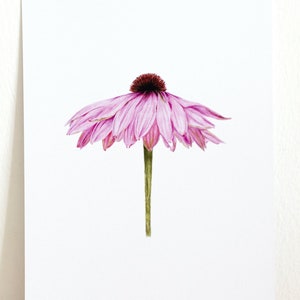 Pink Flower Postcard Nature Illustration Handmade Realistic Flora Art A6 White Envelope image 2