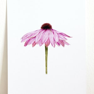 cartolina di fiori rosa | illustrazione della natura | | d'arte flora realistica fatta a mano | A6 Busta bianca immagine 2