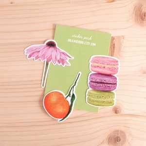 Personalised Sticker Pack | 3 Large Stickers | Realistic Food, Animal and Flower Illustration | Handmade Art | Vinyl | Waterproof