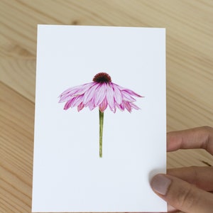 Pink Flower Postcard Nature Illustration Handmade Realistic Flora Art A6 White Envelope image 3