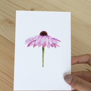 Pink Flower Postcard Nature Illustration Handmade Realistic Flora Art A6 White Envelope image 3