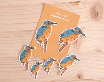 Kingfisher Sticker Pack | 3 Sizes | Bird Realistic Illustration | Handmade Animal Art | Vinyl | Waterproof