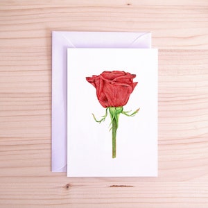 flor cor-de-rosa cartão postal | Ilustração de planta | Arte da natureza realista feita à mão | A6 | Envelope Branco