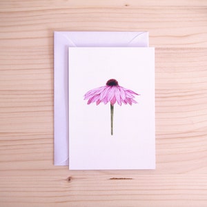 flor cor-de-rosa cartão postal | Ilustração da natureza | Arte de flora realista feita à mão | A6 | Envelope Branco