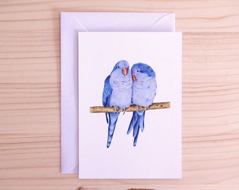 Wellensittich Vögel Postkarte | Tier Illustration | Fauna Realistische Kunst | A6 | Weißer Umschlag