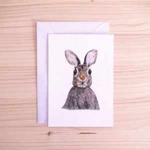 Coelho Cartão Postal | Ilustração Animal | Arte de fauna realista feita à mão | A6 | Envelope Branco