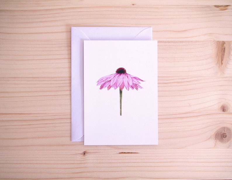 Pink Flower Postcard Nature Illustration Handmade Realistic Flora Art A6 White Envelope image 1